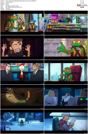 Tales of the Teenage Mutant Ninja Turtles S02 720p x264-AMBER
