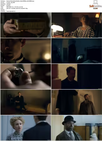 Vienna Blood S01 S04 1080p BluRay x265-MIXED