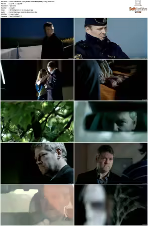 Wallander 2008 S01 S04 1080p BDRip DDP5.1 x265-Vialle