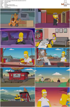 The Simpsons S28 1080p Web-DL x264-OFT