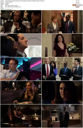 House of Lies S01 S05 WEBRip 1080p DD5.1 H265-d3g
