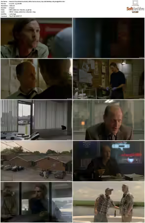 True Detective S01 S04 720p 10bit BluRay x265-budgetbits
