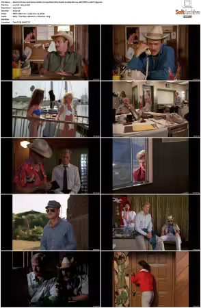 Simon and Simon S01-S08 1080p Blu-ray 10Bit DDP2.0 HEVC-d3g