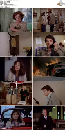 Vegas 1978 S01-S03 480p DVDRip HEVC AAC 2.0 DreadParrot