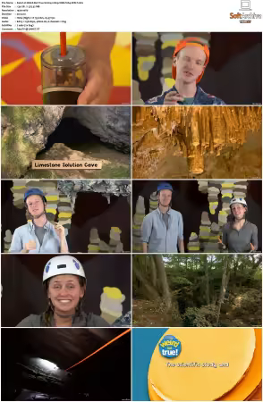 Weird But True S01 S03 1080p WEB H264-S