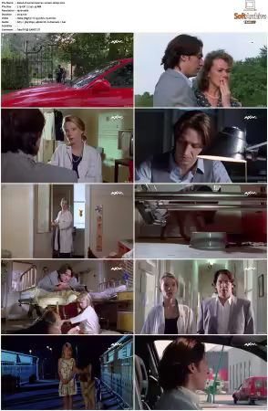 Kommissar Rex S01 S10 German 1080p HDTV x264-OMGtv