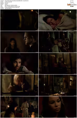 Black Sails 2014 S01-S04 1080p BDRip DDP7.1 x265-Vialle