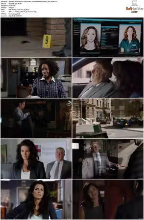 Rizzoli and Isles 2010 S01-S07 1080p NF WEB-DL DDP5.1 AV1-Vialle