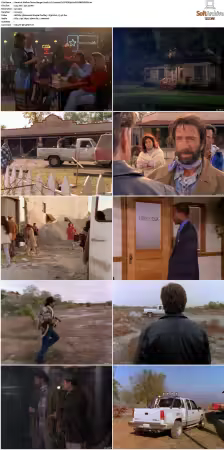 Walker Texas Ranger S01-S09 DVDRip XviD-Mixed