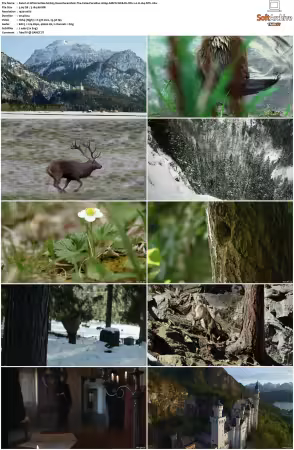 Wild Castles S01 1080p AMZN WEB-DL DDP2.0 H264-NTb