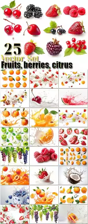 Fruits, berries, citrus - 25 set vector bundle design