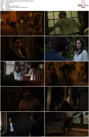 Prison Break S01-S05 German AC3 DL 1080p BDRip x265-FuN