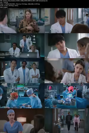 Greys Anatomy S22E11 1080p AMZN WEB-DL HEVC x265-JackyCandy