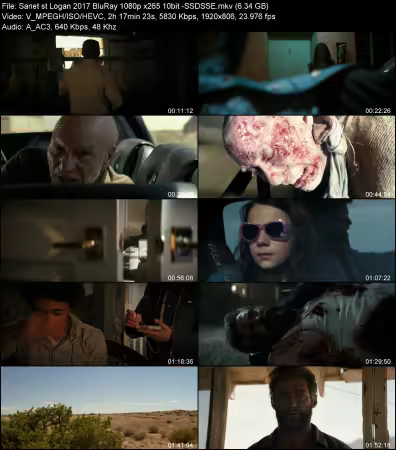 Logan 2017 BluRay 1080p x265 10bit -SSDSSE