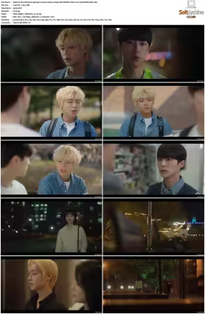 At a Distance Spring is Green S01 1080p VIKI WEB-DL AAC2 0 H264-DUSKLiGHT