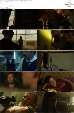 Strike Back S01-S08 1080p BluRay WEBRip 10Bit DDP2.0 HEVC-d3g