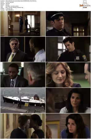 Rizzoli and Isles 2010 S01-S07 1080p NF WEB-DL DDP5.1 AV1-Vialle