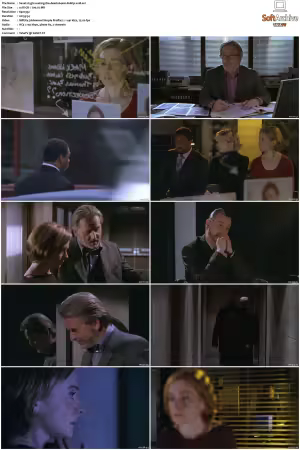 Waking The Dead S01 S09 DVDRip XviD-Mixed