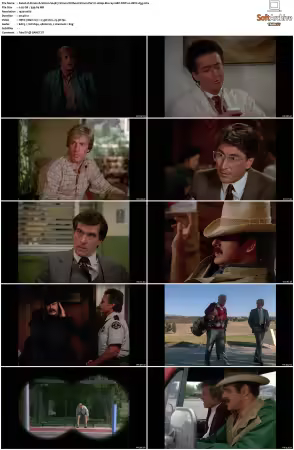 Simon and Simon S01-S08 1080p Blu-ray 10Bit DDP2.0 HEVC-d3g