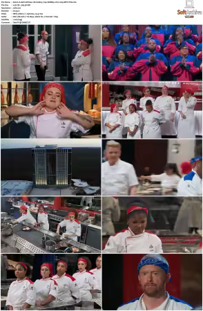 Hell's Kitchen US S24 720p WEBRip 2CH x265 HEVC-PSA