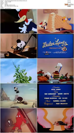 Woody Woodpecker Classic Cartoon Collection S00 Vol1-2 H264-NGP