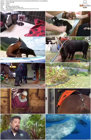 Unlikely Animal Friends S01 S03 1080p DSNP WEB-DL DD+5.1 H264-playWEB