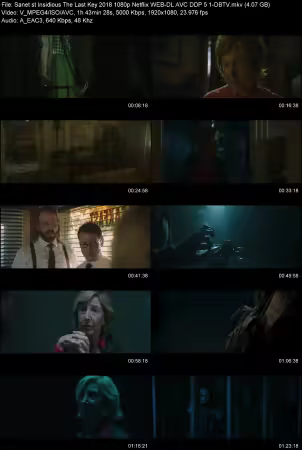 Insidious The Last Key 2018 1080p Netflix WEB-DL AVC DDP 5.1-DBTV