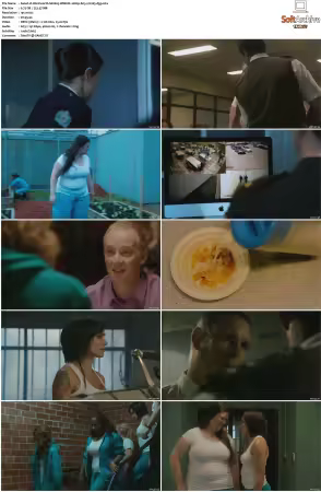 Wentworth S01 S09 1080p WEB h265-d3g