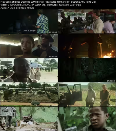 Blood Diamond 2006 BluRay 1080p x265 10bit 2Audio -SSDSSE