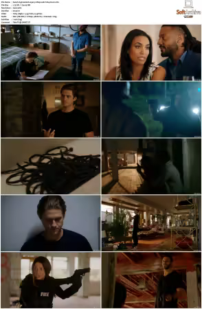 Graceland S01 S03 1080p WEB h264-NiXON