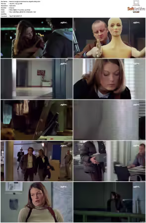 Kommissar Rex S01-S10 German 1080p HDTV x264-OMGtv