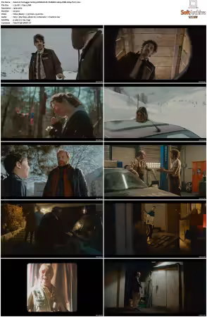 Tschugger S01 S04 GERMAN 1080p WEB H264-Mixed