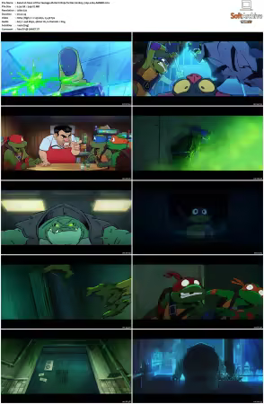 Tales of the Teenage Mutant Ninja Turtles S02 720p x264-AMBER