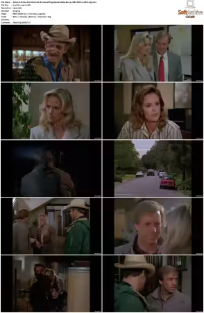 Simon and Simon S01-S08 1080p Blu-ray 10Bit DDP2.0 HEVC-d3g
