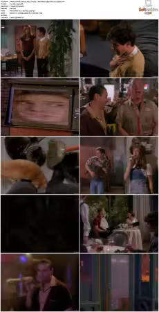 Weird Science 1994 S01-S05 480p DVD x265 HEVC 10bit AAC 2.0 Panda