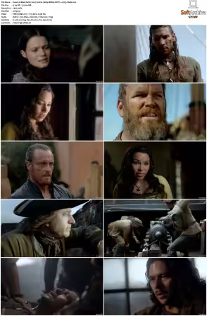 Black Sails 2014 S01-S04 1080p BDRip DDP7.1 x265-Vialle