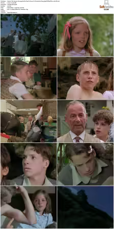 The Famous Five 1995 S01 S02 576p DVDRip DD2.0 x264-DS
