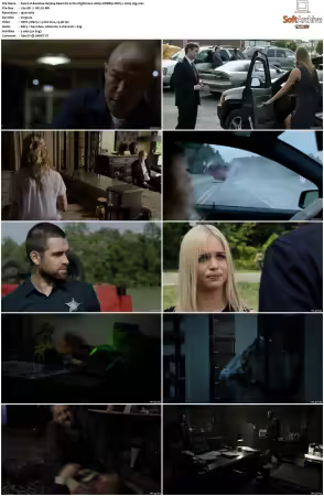 Banshee S01 S04 1080p WEBRip DDP5.1 H265-d3g