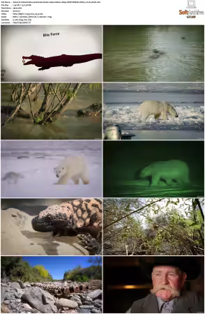 United States of Animals S01 1080p DSNP WEB-DL DDP5.1 H264-Sloth