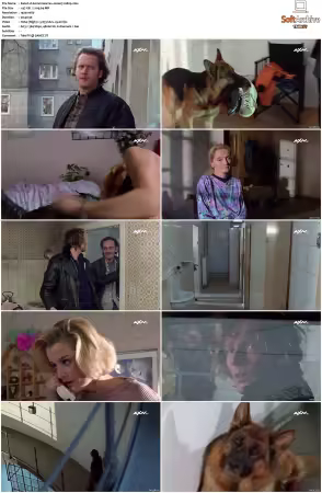 Kommissar Rex S01 S10 German 1080p HDTV x264-OMGtv