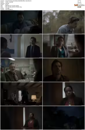 The Sinner 2017 S01 S04 1080p BDRip DDP5.1 x265-Vialle
