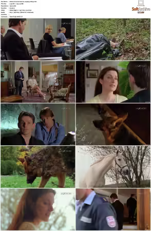 Kommissar Rex S01-S10 German 1080p HDTV x264-OMGtv