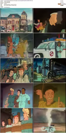 The Real Ghostbusters S01-S07 DVD REMUX-MIXED