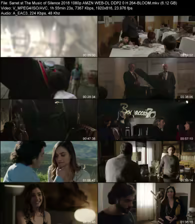 The Music of Silence 2018 1080p AMZN WEB-DL DDP 2.0 H264-BLOOM