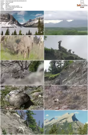 Wild Rockies S01 2160p WEB H265-JAVLAR