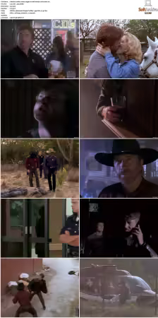 Walker Texas Ranger S01-S09 DVDRip XviD-Mixed