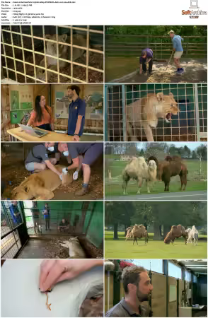 Animal Park S25 1080p iP WEB-DL AAC2.0 H264-AEK