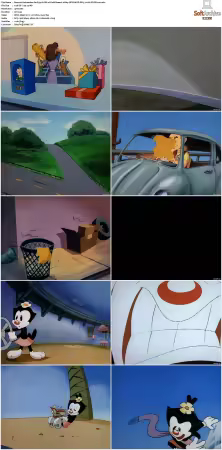 Animaniacs 1993 S01-S05 1080p UPSCALED DD 5.1 x265-EDGE2020