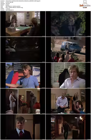 Simon and Simon S01-S08 1080p Blu-ray 10Bit DDP2.0 HEVC-d3g