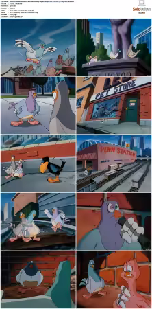 Animaniacs 1993 S01-S05 1080p UPSCALED DD 5.1 x265-EDGE2020